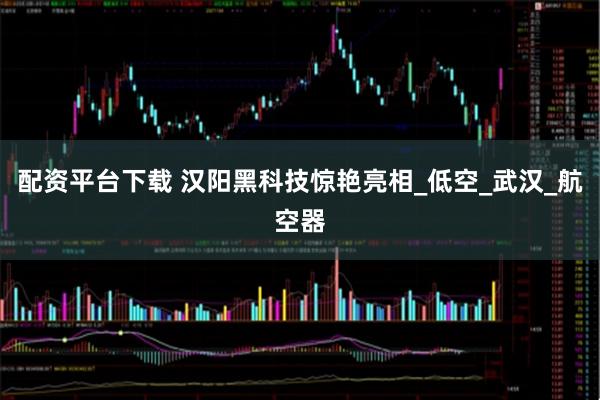 配资平台下载 汉阳黑科技惊艳亮相_低空_武汉_航空器