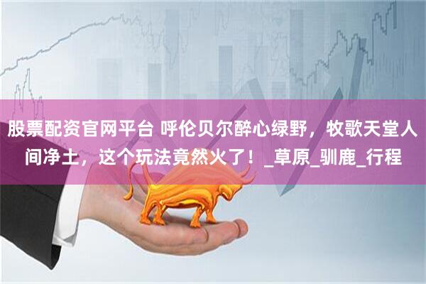 股票配资官网平台 呼伦贝尔醉心绿野，牧歌天堂人间净土，这个玩法竟然火了！_草原_驯鹿_行程