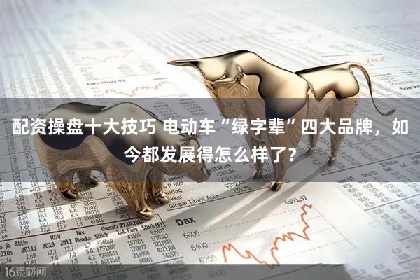 配资操盘十大技巧 电动车“绿字辈”四大品牌,如今都发展得怎么样了?