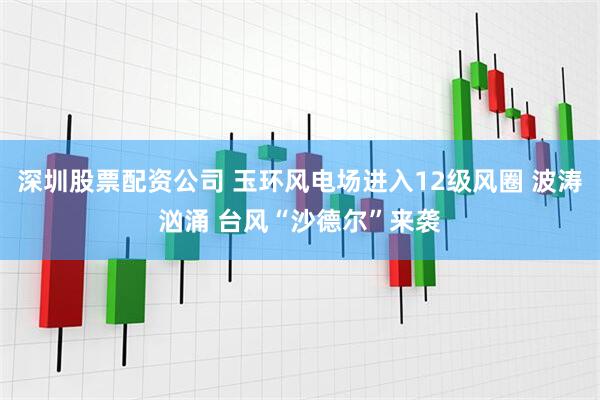 深圳股票配资公司 玉环风电场进入12级风圈 波涛汹涌 台风“沙德尔”来袭